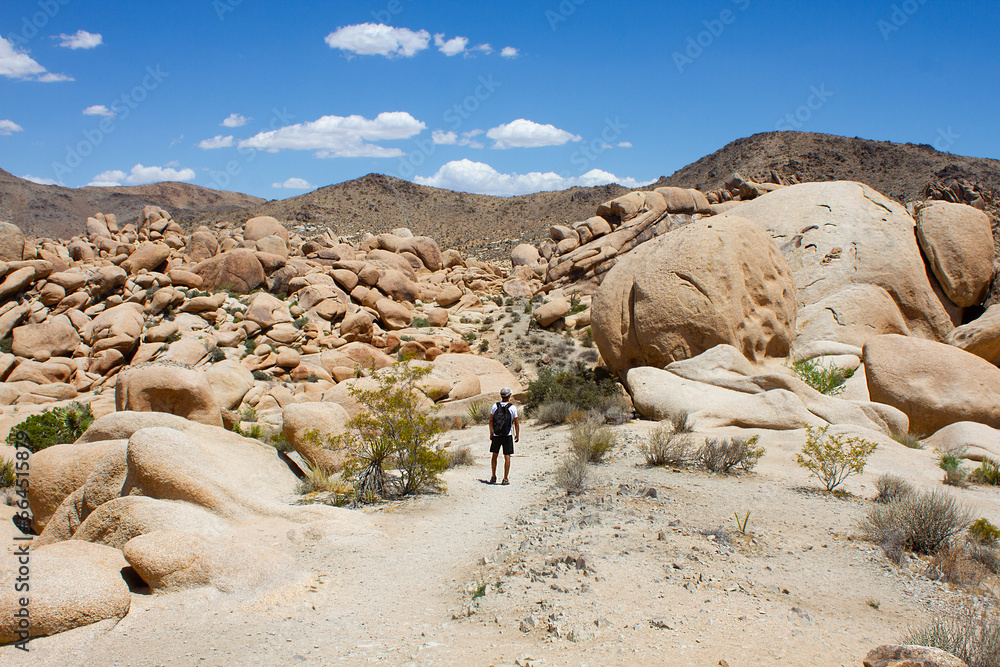 Man stands in front of rocks and boulders formation. Arch Rock Trail, Joshua Tree National Park, Califronia, USA