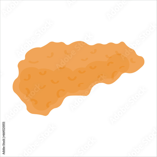 Pancreatic gland on white background