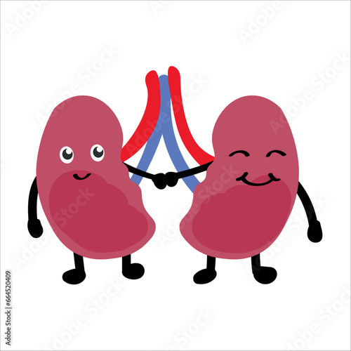 Funny human kidneys holding hands on white background