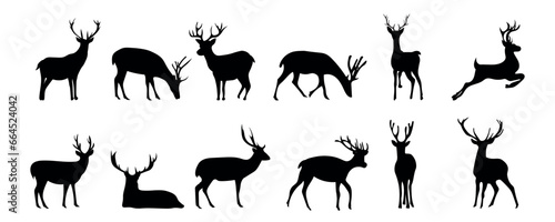 Set of deer silhouettes on white background photo