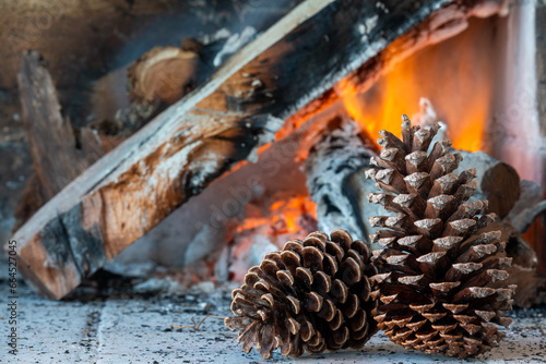 Pine cone on a background of burning firewood.