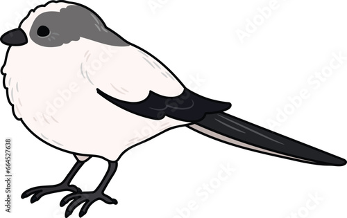 Simple and adorable outlined Long-tailed tit illustration