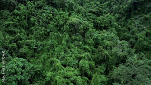 Aerial drone shot over primary Jungle tropical rain forest in Nan, Thailand. Aerial view, moving over a rainforest tree canopy in a slow pace beautiful green nature background of a tropical forest. photo