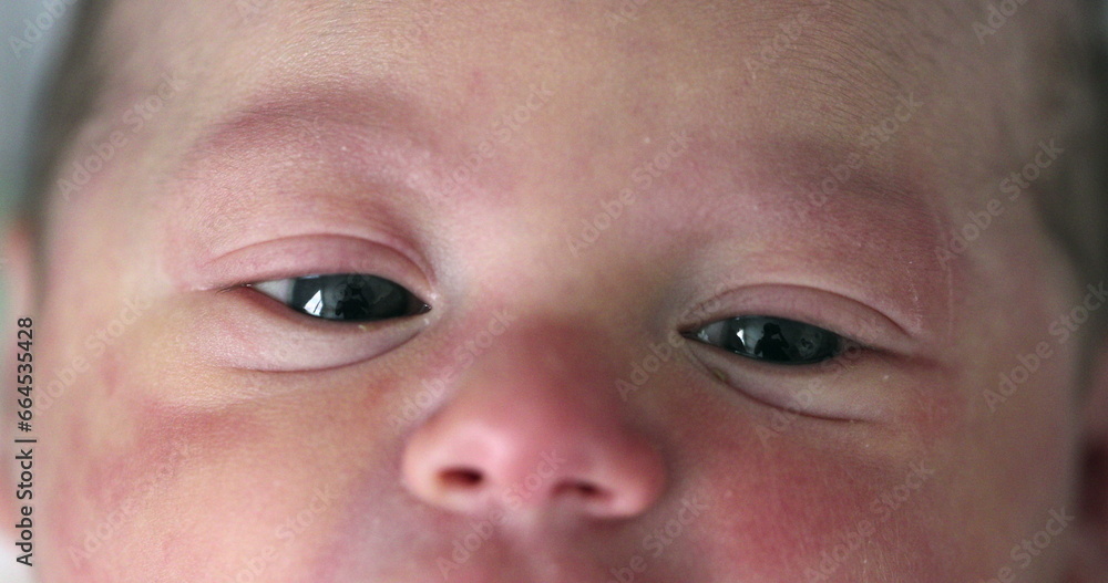 Infant newborn baby face and eyes in macro Infant newborn baby face and eyes in macro