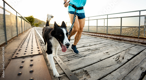 Quadro su tela An unrecognizable athlete is running with his black-and-white dog in an outdoor harness over a bridge