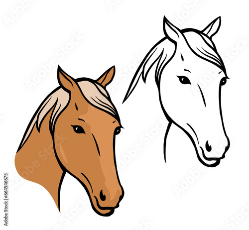 Portrait of a beautiful horse. Horse head. A elegant animal with a mane and hooves. Cartoon vector illustration. Black and color sketch. Hand drawn line. Logo and emblem