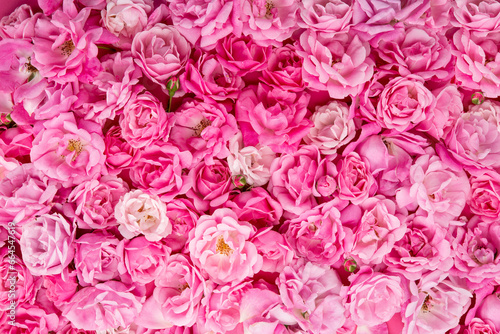 Pink roses pattern background for invitation  greeting card  valentine  design wallpaper