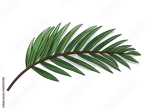 Doodle Palm branch with leaves, cartoon sticker, sketch, vector, Illustration, minimalistic