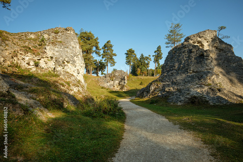 Footpath between dolomite cliffs and tree landscape scenery photo