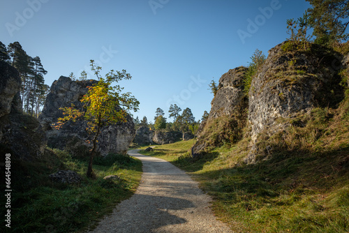 Path between dolomite rocks on the german swabian jura scenery photo