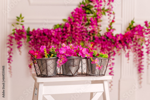 pink flowers in a herb pots 