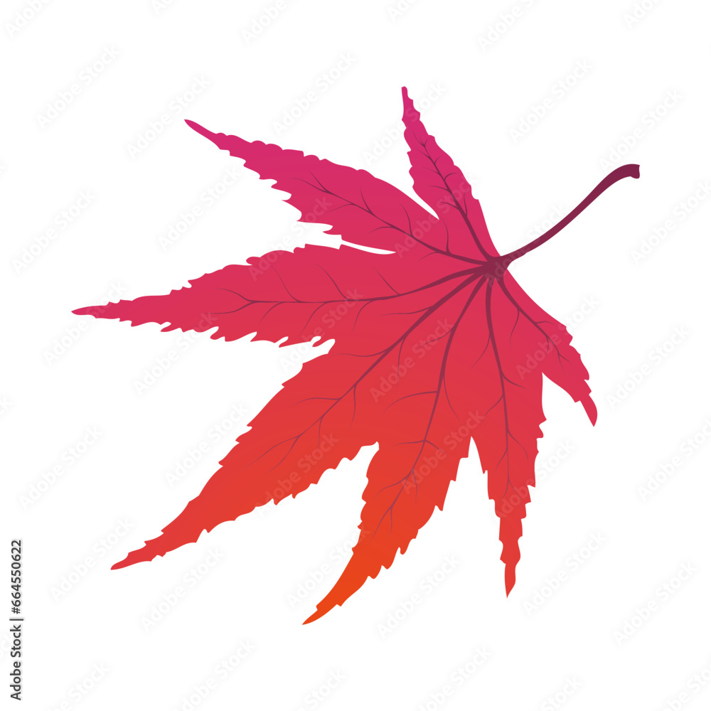 Maple Autumn Leaf Maple Autumn Leaf