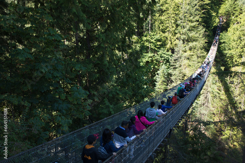 Beautiful view of Capilano Suspension Bridge Park in Vancouver, Canada