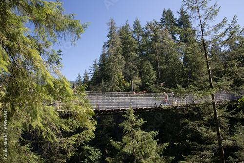 Beautiful view of Capilano Suspension Bridge Park in Vancouver, Canada