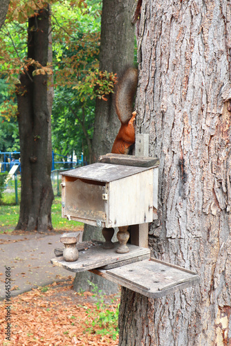 Close up view of wooden birdhouse on the tree