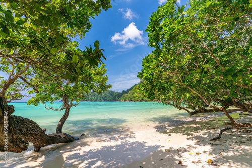 Obraz na płótnie Beautiful Mai ngam bay in Koh Surin national park, the famous free driving spot in Pang Nga, Thailand. w salonie