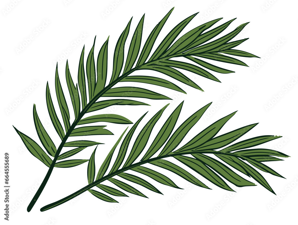 Fototapeta premium Doodle Palm branches, cartoon sticker, sketch, vector, Illustration, minimalistic