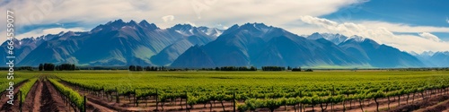 Panoramic View of Andes, Vinery and Grape Fields in Lujan de Cuyo with a Traditional Hut on the Ground photo