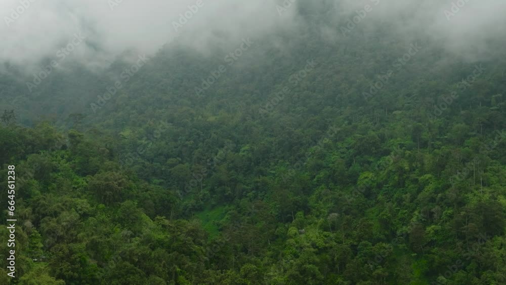 Drone view of green forest in the mountains covered with fogs and clouds. Mindanao, Philippines. Environmental concept. Drone view of green forest in the mountains covered with fogs and clouds. Mindanao, Philippines. Environmental concept.