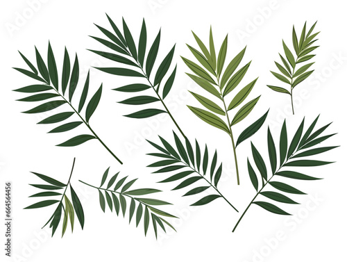 Doodle Palm leaves and branches  cartoon sticker  sketch  vector  Illustration  minimalistic