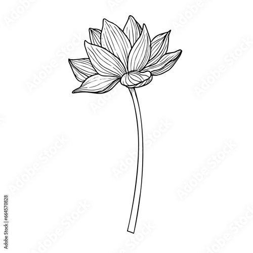 Lotus flower in line art style. Hand drawn vector illustration of asian water lily in black and white colors for spa or Zen design. Drawing of floral tattoo painted by inks. Symbol of purity.