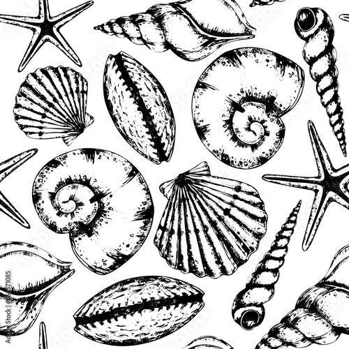 Seashell Pattern on isolated background. Hand drawn vector seamless linear ornament with Sea Shells for nautical wrapping paper or textile. Underwater illustration with cockleshell and scallop.