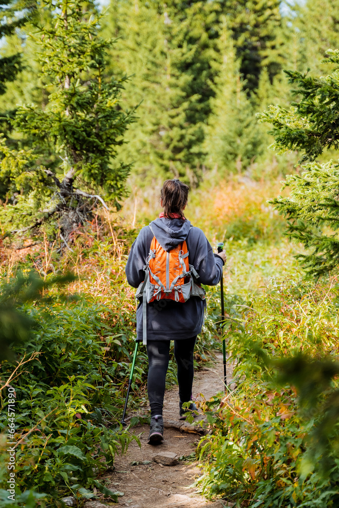 Active recreation in the mountains, a walk in the forest with a backpack, Nordic walking with poles, a girl on a hike, trekking in a mountainous area, going down the mountain. Active recreation in the mountains, a walk in the forest with a backpack, Nordic walking with poles, a girl on a hike, trekking in a mountainous area, going down the mountain.