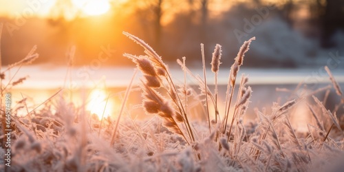 The Setting Sun Illuminates Frosty Grass and a Meandering River  Amidst a Blizzard  Snowstorm  Frost  and the Enchanting Beauty of Winter