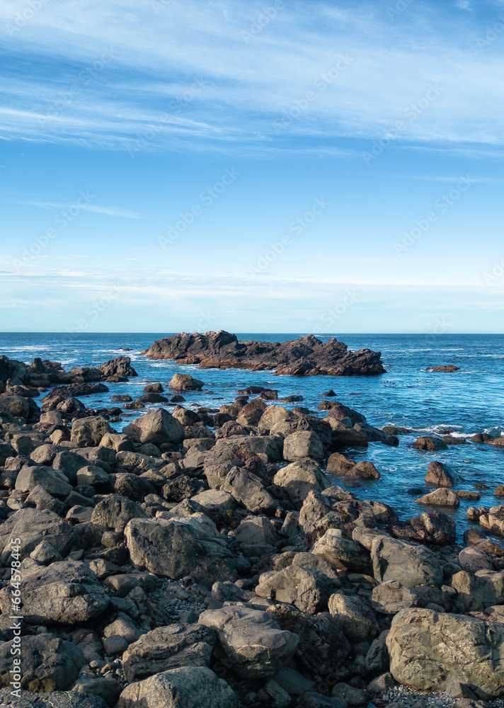 Rocky Shore on the Pacific Ocean Coast. Sunny Sunset.