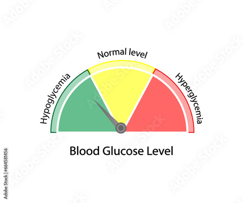 Blood Glucose Levels. Normal level, hypoglycemia (low blood sugar), hyperglycemia (high blood sugar), sugar test. vector diagram	
