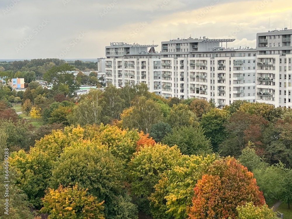 Naklejka premium Fall beauty