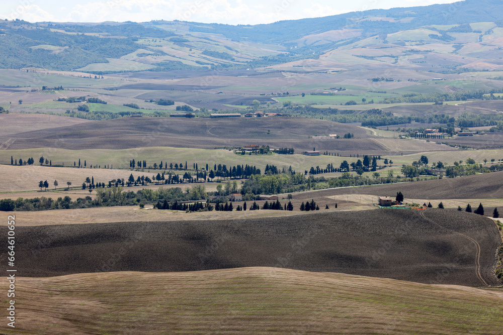 Obraz premium The rural landscape near Pienza in Tuscany. Italy