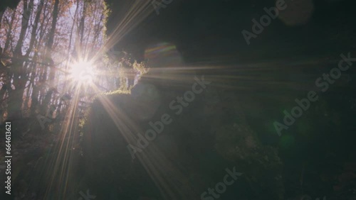 Point of view in to autumn leaves path