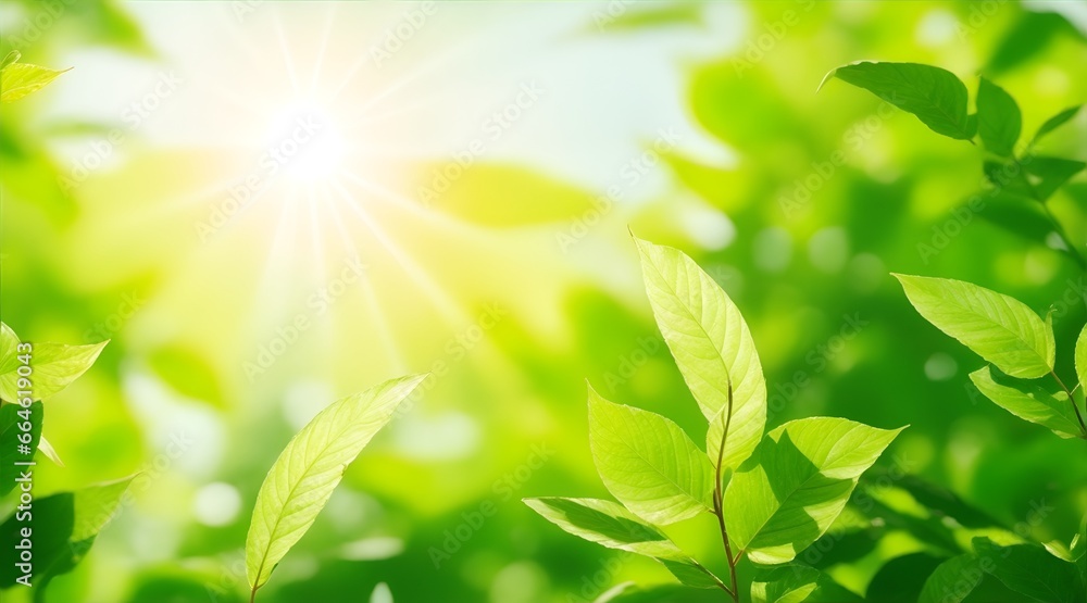 Obraz premium green leaves background