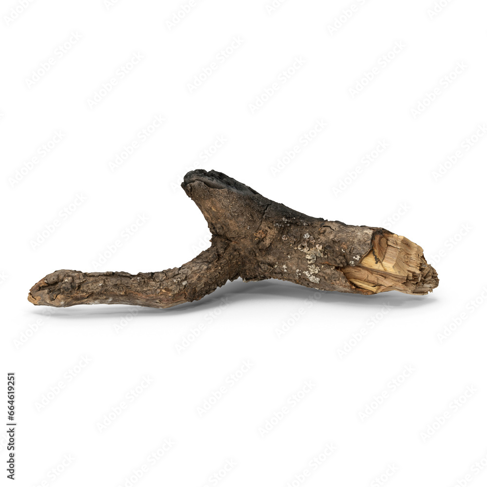 Old wooden branch tree podium Old wooden branch tree podium