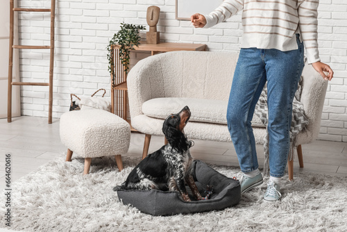 Female cynologist training dog at home