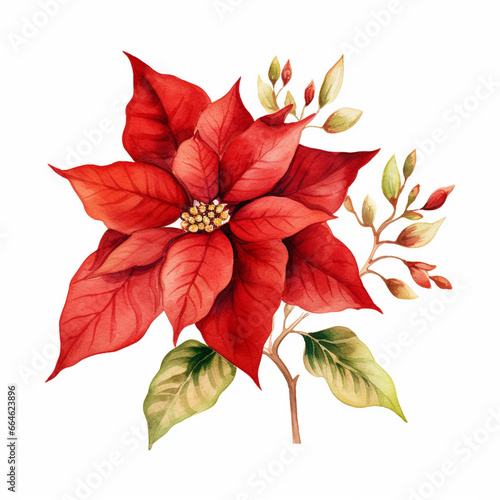 poinsettia christmas decor watercolor painting on white background  generated ai