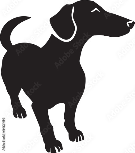  Illustration of a black and white Dachshund, known for its elongated body and short legs. The Dachshund is a breed recognized for its tenacity and playfulness