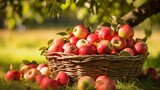 AI generated illustration of a basket of freshly harvest apples in a garden