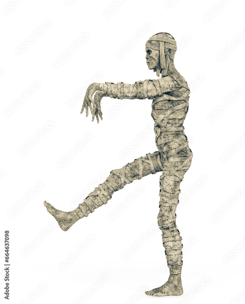 mummy is walking on side view mummy is walking on side view