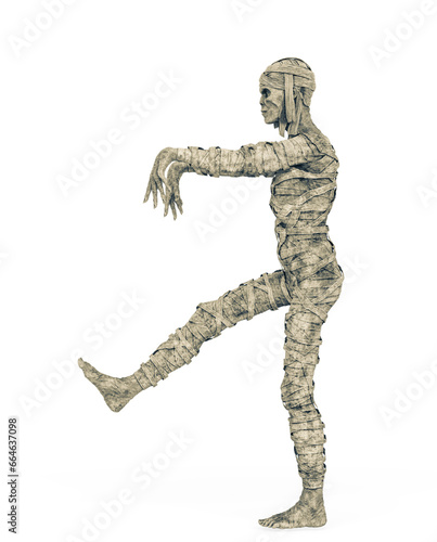 mummy is walking on side view © DM7