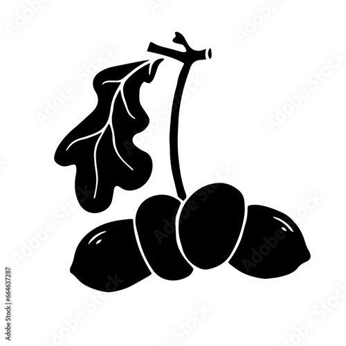 Silhouette of an oak branch with acorns and leaves. Vector graphics.