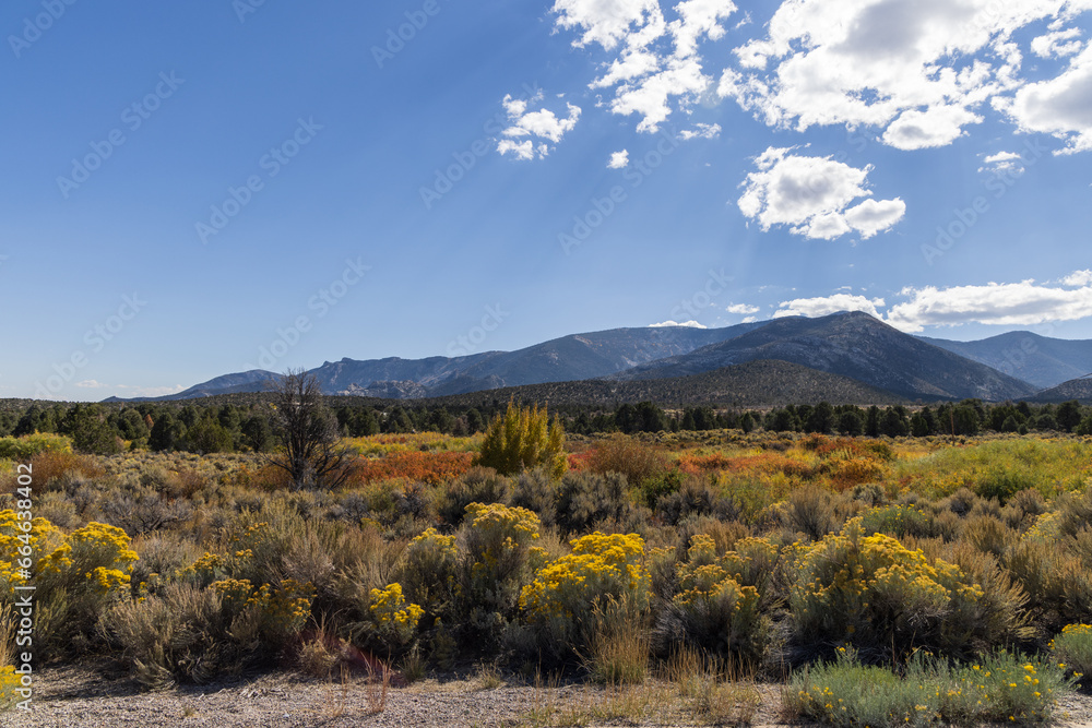 autumn in the mountains