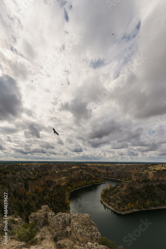 River Duraton with old church of San Frutos and griffon vulture flying in the sky during autumn time, Sepulveda, Segovia, Spain