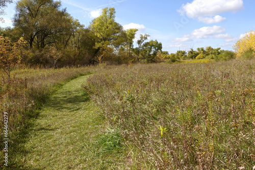 Mowed Trail through Wild Conservancy in Autumn