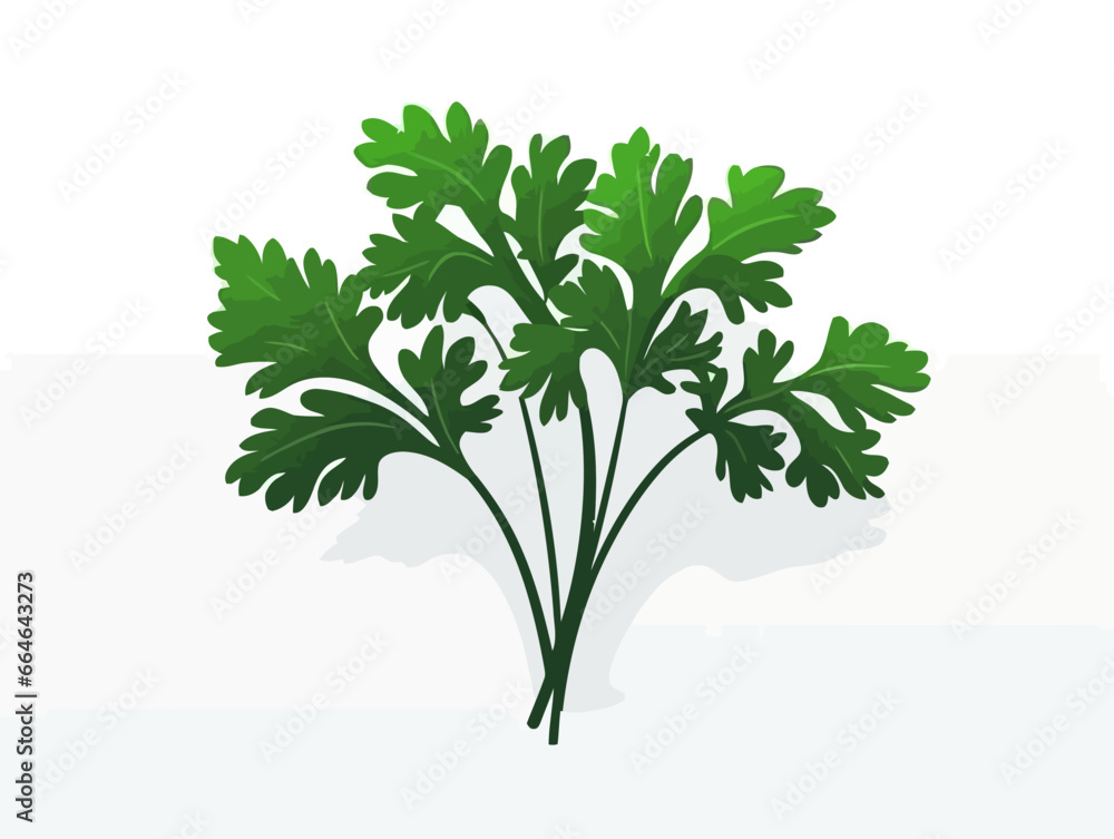 Doodle Parsley sprig, cartoon sticker, sketch, vector, Illustration, minimalistic Doodle Parsley sprig, cartoon sticker, sketch, vector, Illustration, minimalistic