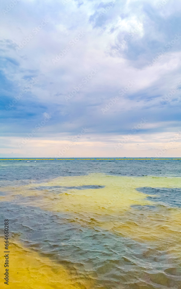 Tropical mexican beach clear turquoise water Playa del Carmen Mexico. Tropical mexican beach clear turquoise water Playa del Carmen Mexico.