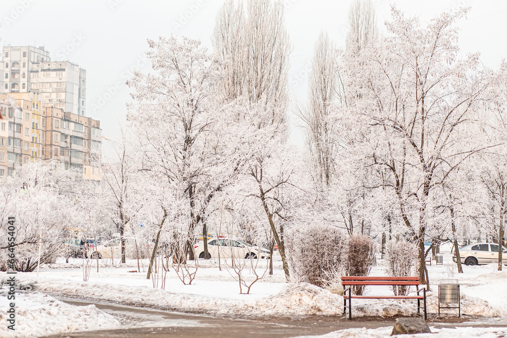 The city after a snowfall. City park with trees and paths in the snow in winter The city after a snowfall. City park with trees and paths in the snow in winter