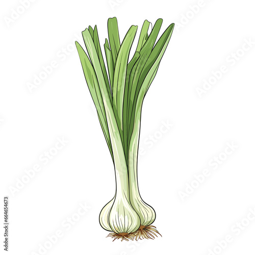 Hand Drawn Flat Color Leek Illustration