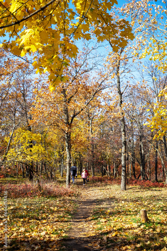 Girl with children walks in autumn forest. Forest path going deep into forest. In perspective. Autumn forest on sunny September day. Selective focus